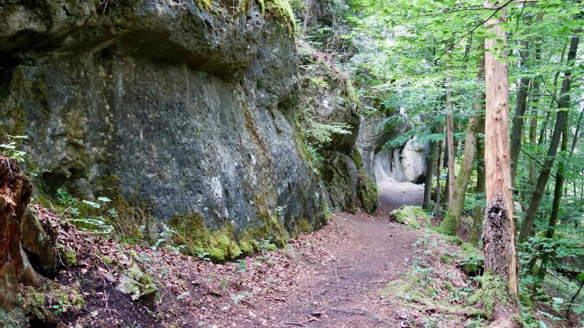 Ferienwohnung Am Walberla / Fraenkische Schweiz Kirchehrenbach Dış mekan fotoğraf